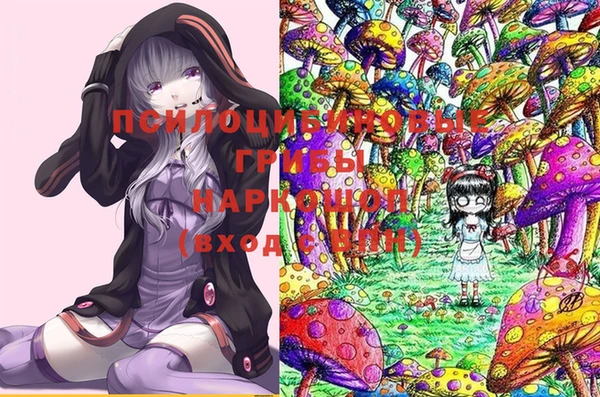 бошки Арсеньев