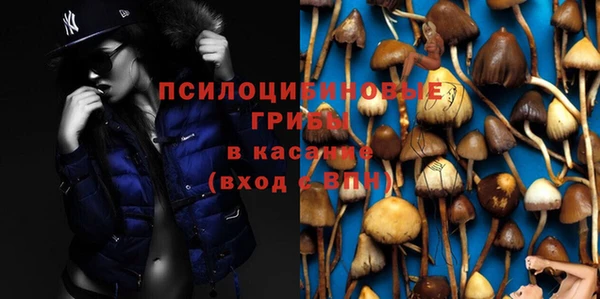 бошки Арсеньев