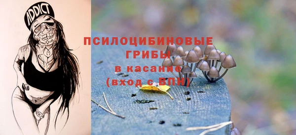 бошки Арсеньев