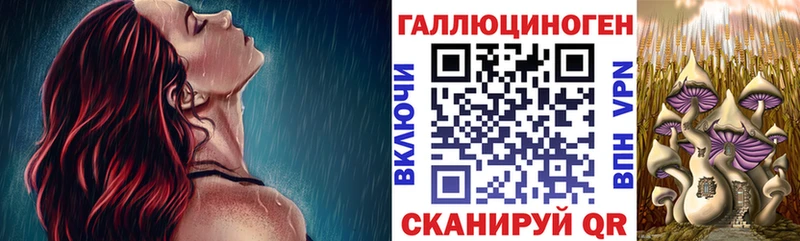 Псилоцибиновые грибы Cubensis  Сертолово 